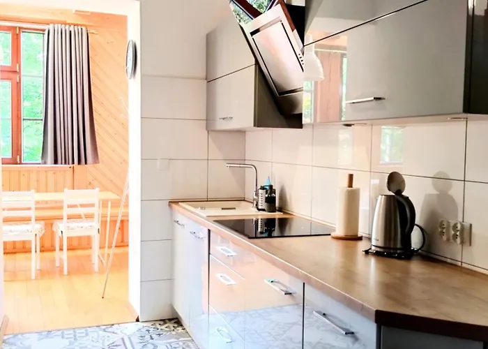 Na Grzybowej アパート カルパッチ